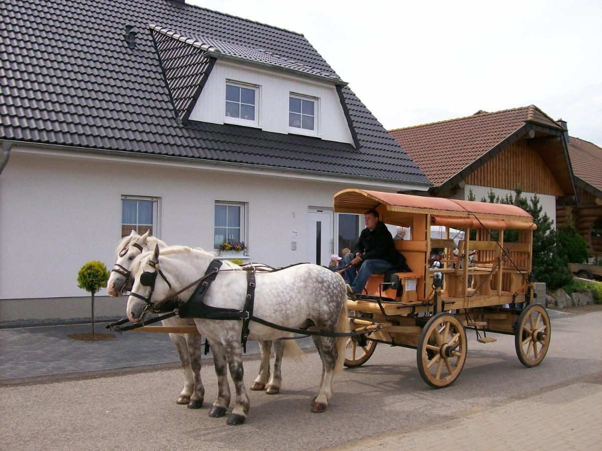 Gastehaus „Haus Am Hahnenberg“ Bed and Breakfast Marmagen Exterior foto